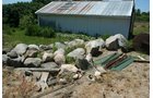 Property photo 63 - PERSONAL PROPERTY AUCTION IN CASS COUNTY, MICHIGAN