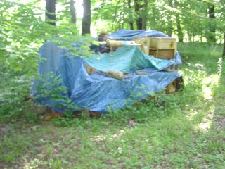 Property photo 10 - REAL ESTATE & PERSONAL PROPERTY AUCTION - 9.66+/- WOODED ACRES IN WHITLEY COUNTY, INDIANA