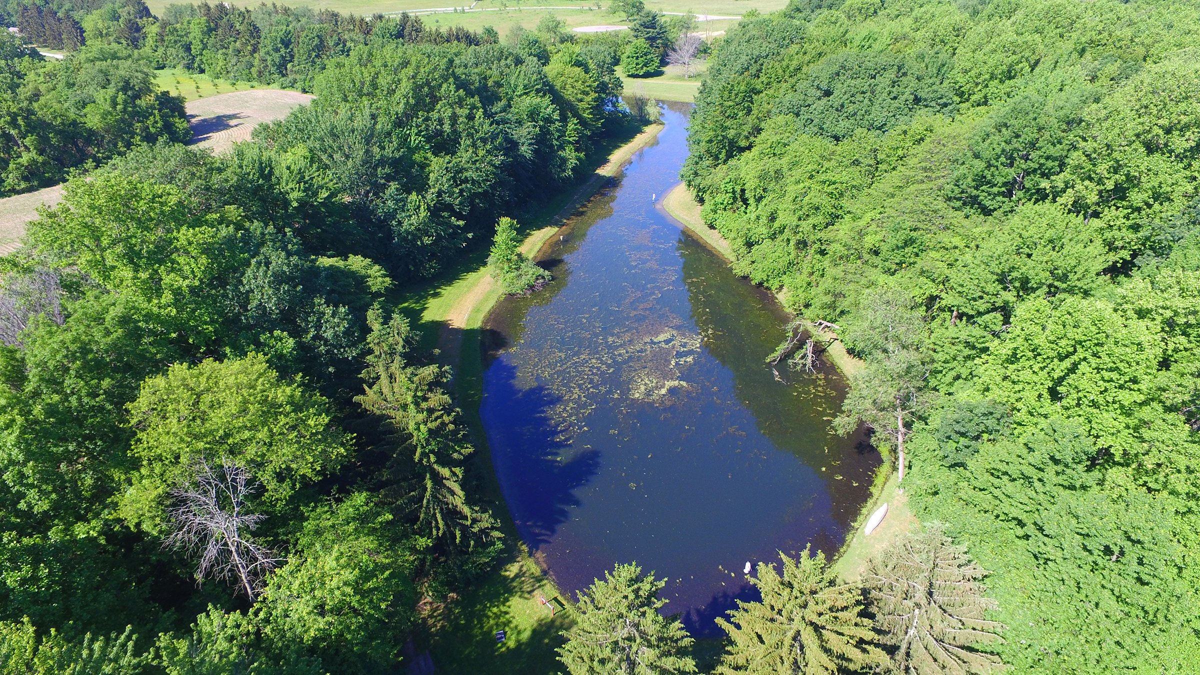 Property photo 12 - REAL ESTATE AUCTION - 211+/- ACRES IN 6 TRACTS IN BERRIEN COUNTY, MICHIGAN