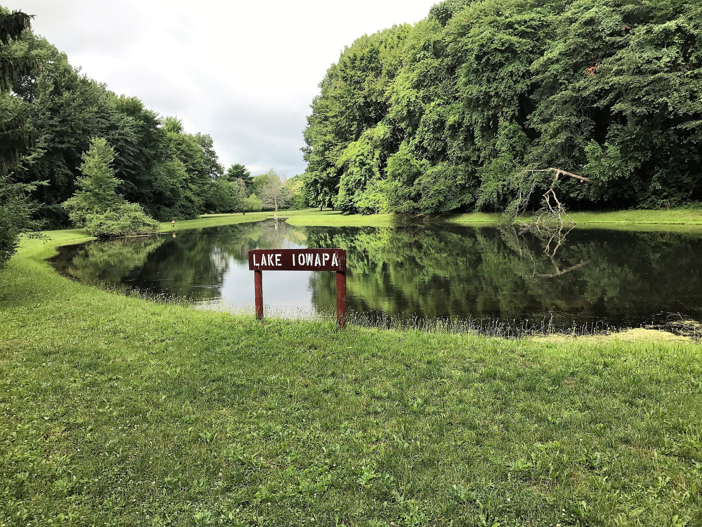Property photo 32 - REAL ESTATE AUCTION - 211+/- ACRES IN 6 TRACTS IN BERRIEN COUNTY, MICHIGAN
