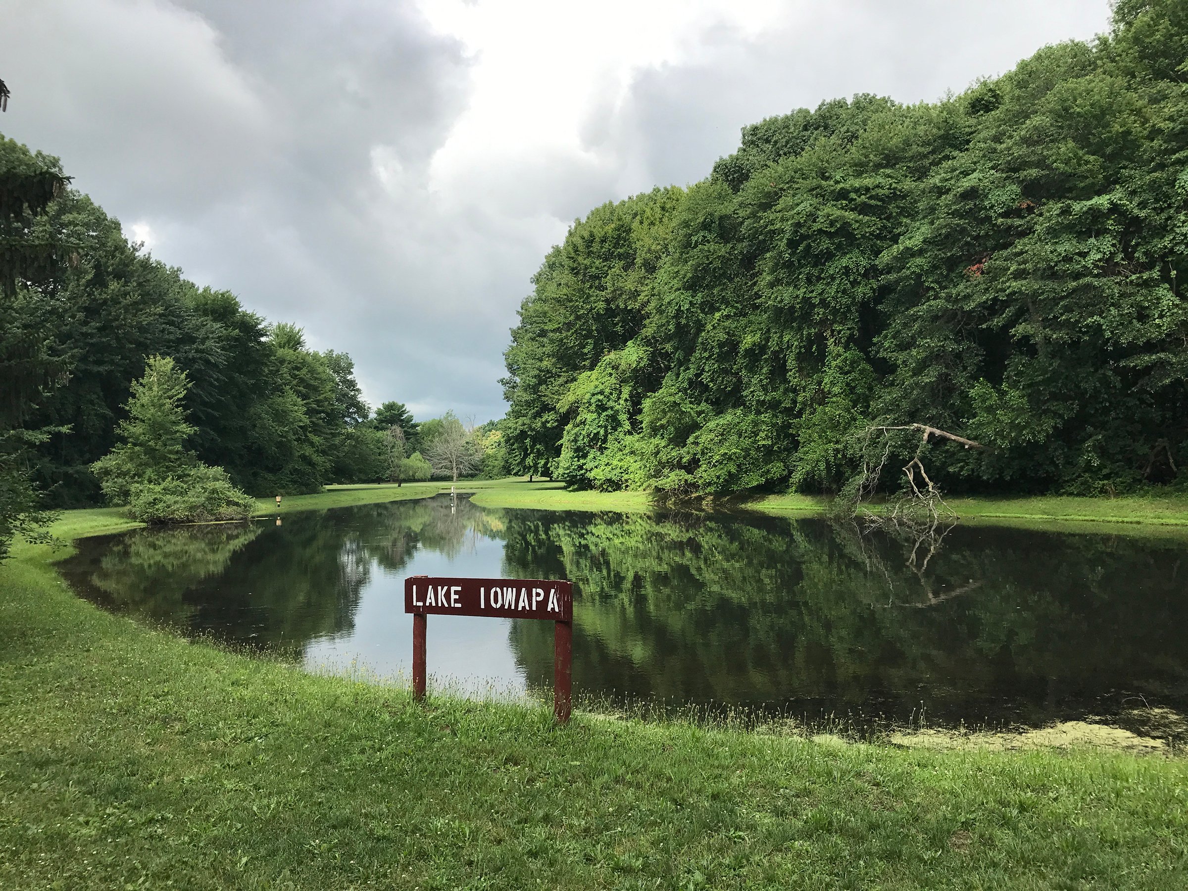Property photo 28 - REAL ESTATE AUCTION - 211+/- ACRES IN 6 TRACTS IN BERRIEN COUNTY, MICHIGAN