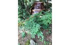 Property photo 46 - REAL ESTATE AUCTION - 211+/- ACRES IN 6 TRACTS IN BERRIEN COUNTY, MICHIGAN