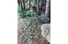 Property photo 35 - REAL ESTATE AUCTION - 211+/- ACRES IN 6 TRACTS IN BERRIEN COUNTY, MICHIGAN