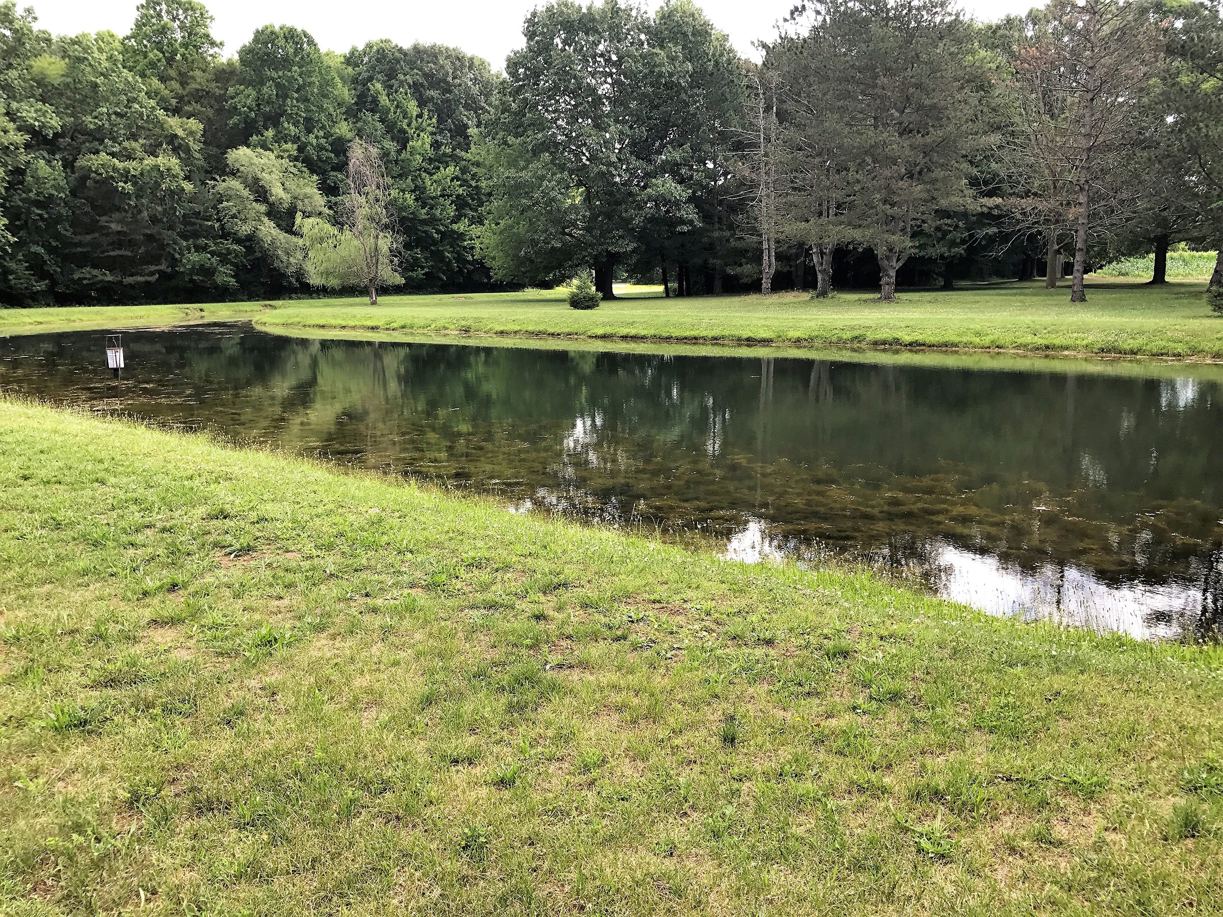 Property photo 51 - REAL ESTATE AUCTION - 211+/- ACRES IN 6 TRACTS IN BERRIEN COUNTY, MICHIGAN
