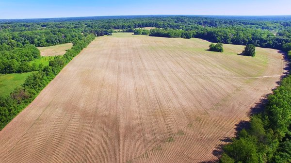 REAL ESTATE AUCTION - 211+/- ACRES IN 6 TRACTS IN BERRIEN COUNTY, MICHIGAN