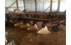 Property photo 25 - PLATO CONSIGNMENT AUCTION IN LAGRANGE COUNTY