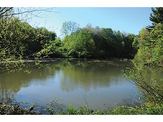 Property photo 55 - LAND AUCTION - 2,596+/- ACRES IN 28 TRACTS IN COSHOCTON & MUSKINGUM COUNTIES, OHIO