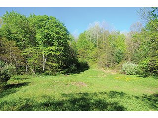 Property photo 56 - LAND AUCTION - 2,596+/- ACRES IN 28 TRACTS IN COSHOCTON & MUSKINGUM COUNTIES, OHIO