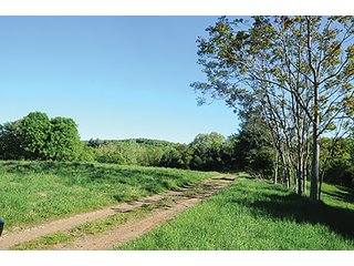 Property photo 57 - LAND AUCTION - 2,596+/- ACRES IN 28 TRACTS IN COSHOCTON & MUSKINGUM COUNTIES, OHIO