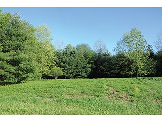 Property photo 58 - LAND AUCTION - 2,596+/- ACRES IN 28 TRACTS IN COSHOCTON & MUSKINGUM COUNTIES, OHIO