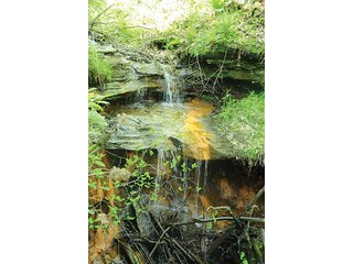 Property photo 81 - LAND AUCTION - 2,596+/- ACRES IN 28 TRACTS IN COSHOCTON & MUSKINGUM COUNTIES, OHIO