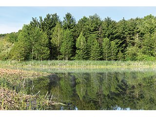 Property photo 66 - LAND AUCTION - 2,596+/- ACRES IN 28 TRACTS IN COSHOCTON & MUSKINGUM COUNTIES, OHIO