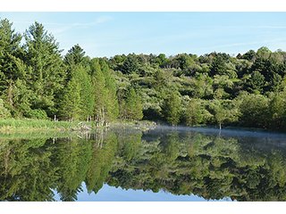 Property photo 75 - LAND AUCTION - 2,596+/- ACRES IN 28 TRACTS IN COSHOCTON & MUSKINGUM COUNTIES, OHIO