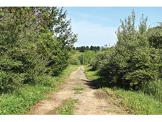 Property photo 73 - LAND AUCTION - 2,596+/- ACRES IN 28 TRACTS IN COSHOCTON & MUSKINGUM COUNTIES, OHIO