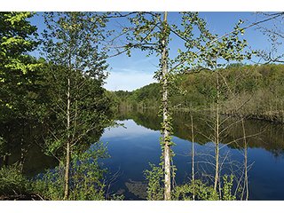 Property photo 69 - LAND AUCTION - 2,596+/- ACRES IN 28 TRACTS IN COSHOCTON & MUSKINGUM COUNTIES, OHIO