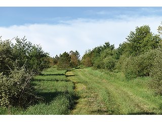 Property photo 64 - LAND AUCTION - 2,596+/- ACRES IN 28 TRACTS IN COSHOCTON & MUSKINGUM COUNTIES, OHIO