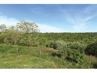 Property photo 74 - LAND AUCTION - 2,596+/- ACRES IN 28 TRACTS IN COSHOCTON & MUSKINGUM COUNTIES, OHIO