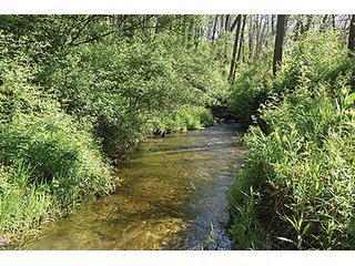 Property photo 68 - LAND AUCTION - 2,596+/- ACRES IN 28 TRACTS IN COSHOCTON & MUSKINGUM COUNTIES, OHIO