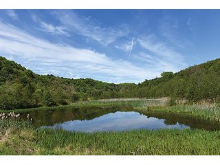 Property photo 59 - LAND AUCTION - 2,596+/- ACRES IN 28 TRACTS IN COSHOCTON & MUSKINGUM COUNTIES, OHIO