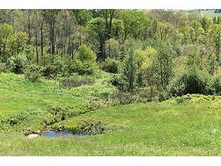 Property photo 78 - LAND AUCTION - 2,596+/- ACRES IN 28 TRACTS IN COSHOCTON & MUSKINGUM COUNTIES, OHIO