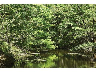 Property photo 65 - LAND AUCTION - 2,596+/- ACRES IN 28 TRACTS IN COSHOCTON & MUSKINGUM COUNTIES, OHIO