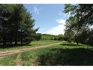 Property photo 63 - LAND AUCTION - 2,596+/- ACRES IN 28 TRACTS IN COSHOCTON & MUSKINGUM COUNTIES, OHIO