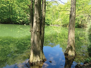 Property photo 70 - LAND AUCTION - 2,596+/- ACRES IN 28 TRACTS IN COSHOCTON & MUSKINGUM COUNTIES, OHIO
