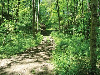 Property photo 76 - LAND AUCTION - 2,596+/- ACRES IN 28 TRACTS IN COSHOCTON & MUSKINGUM COUNTIES, OHIO