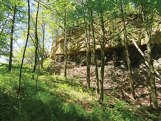 Property photo 72 - LAND AUCTION - 2,596+/- ACRES IN 28 TRACTS IN COSHOCTON & MUSKINGUM COUNTIES, OHIO