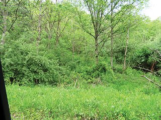 Property photo 60 - LAND AUCTION - 2,596+/- ACRES IN 28 TRACTS IN COSHOCTON & MUSKINGUM COUNTIES, OHIO