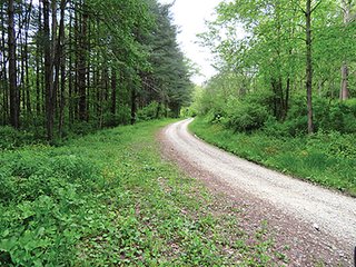 Property photo 62 - LAND AUCTION - 2,596+/- ACRES IN 28 TRACTS IN COSHOCTON & MUSKINGUM COUNTIES, OHIO