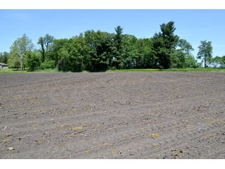 Property photo 13 - LAND AUCTION - 160+/- ACRES OFFERED IN 3 TRACTS IN JASPER COUNTY, INDIANA