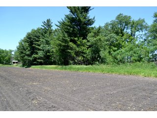 Property photo 22 - LAND AUCTION - 160+/- ACRES OFFERED IN 3 TRACTS IN JASPER COUNTY, INDIANA
