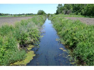 Property photo 27 - LAND AUCTION - 160+/- ACRES OFFERED IN 3 TRACTS IN JASPER COUNTY, INDIANA