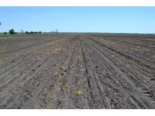 Property photo 15 - LAND AUCTION - 160+/- ACRES OFFERED IN 3 TRACTS IN JASPER COUNTY, INDIANA