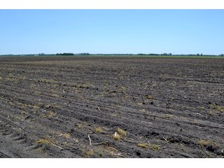 Property photo 19 - LAND AUCTION - 160+/- ACRES OFFERED IN 3 TRACTS IN JASPER COUNTY, INDIANA