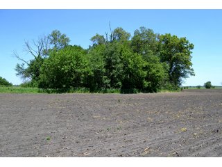 Property photo 20 - LAND AUCTION - 160+/- ACRES OFFERED IN 3 TRACTS IN JASPER COUNTY, INDIANA