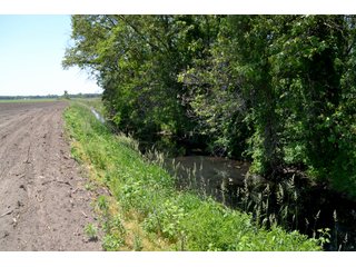 Property photo 23 - LAND AUCTION - 160+/- ACRES OFFERED IN 3 TRACTS IN JASPER COUNTY, INDIANA