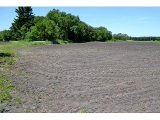 Property photo 17 - LAND AUCTION - 160+/- ACRES OFFERED IN 3 TRACTS IN JASPER COUNTY, INDIANA