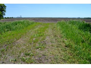 Property photo 25 - LAND AUCTION - 160+/- ACRES OFFERED IN 3 TRACTS IN JASPER COUNTY, INDIANA