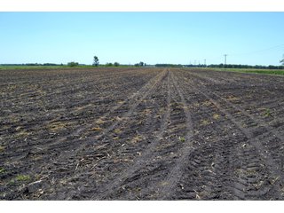 Property photo 18 - LAND AUCTION - 160+/- ACRES OFFERED IN 3 TRACTS IN JASPER COUNTY, INDIANA