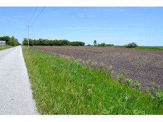 Property photo 14 - LAND AUCTION - 160+/- ACRES OFFERED IN 3 TRACTS IN JASPER COUNTY, INDIANA
