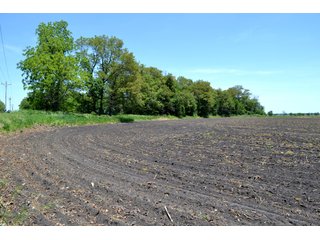 Property photo 24 - LAND AUCTION - 160+/- ACRES OFFERED IN 3 TRACTS IN JASPER COUNTY, INDIANA