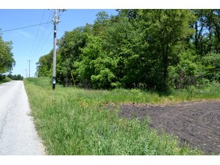 Property photo 12 - LAND AUCTION - 160+/- ACRES OFFERED IN 3 TRACTS IN JASPER COUNTY, INDIANA