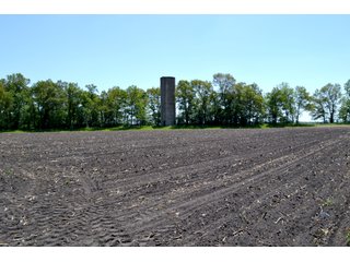 Property photo 16 - LAND AUCTION - 160+/- ACRES OFFERED IN 3 TRACTS IN JASPER COUNTY, INDIANA