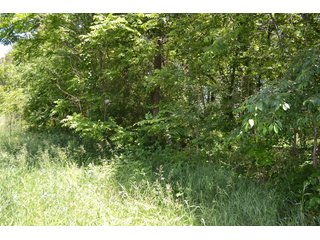 Property photo 29 - LAND AUCTION - 160+/- ACRES OFFERED IN 3 TRACTS IN JASPER COUNTY, INDIANA