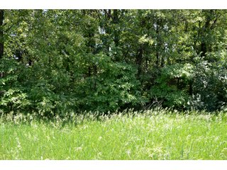 Property photo 30 - LAND AUCTION - 160+/- ACRES OFFERED IN 3 TRACTS IN JASPER COUNTY, INDIANA