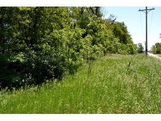 Property photo 33 - LAND AUCTION - 160+/- ACRES OFFERED IN 3 TRACTS IN JASPER COUNTY, INDIANA