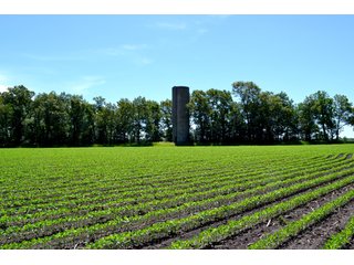 Property photo 4 - LAND AUCTION - 160+/- ACRES OFFERED IN 3 TRACTS IN JASPER COUNTY, INDIANA