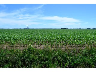 Property photo 8 - LAND AUCTION - 160+/- ACRES OFFERED IN 3 TRACTS IN JASPER COUNTY, INDIANA
